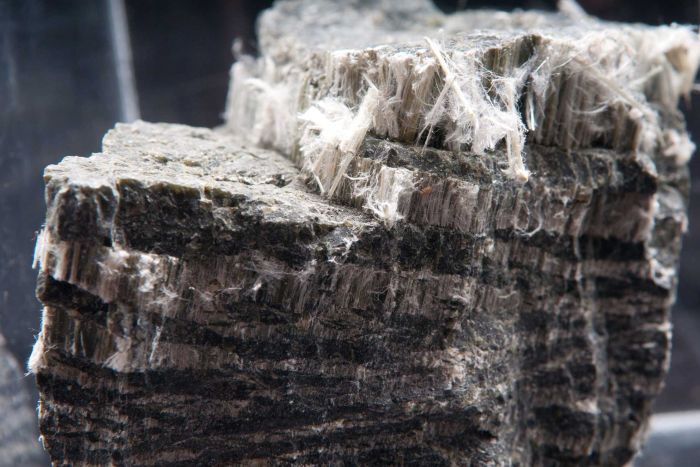 Asbestos chrysotile fibers.